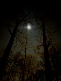 Image of Mjesečina endeluske noći