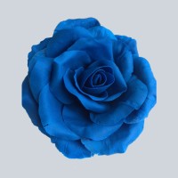 Image of Drama u školi