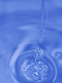 Image of Na izvorištima Bošnjačke baštine